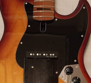 Bass ramp for Marcus Miller Sire V - 6