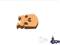 dr G Violin Bridge Cutted Model