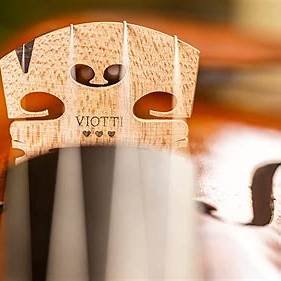 Wood for String Instrument Bridges